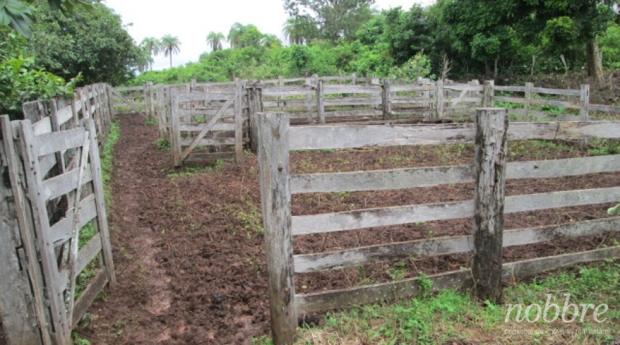 Fazenda para vender no  Sul do Maranhão